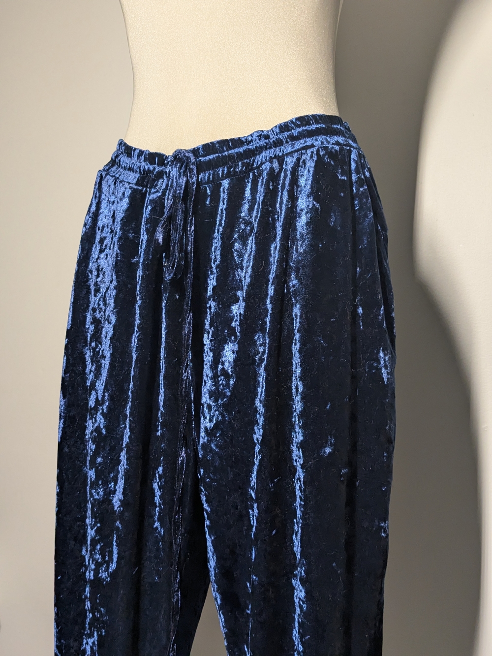 C by One Shimmery Navy Crushed Velvet Pull-On Pants - Picture 7 of 16